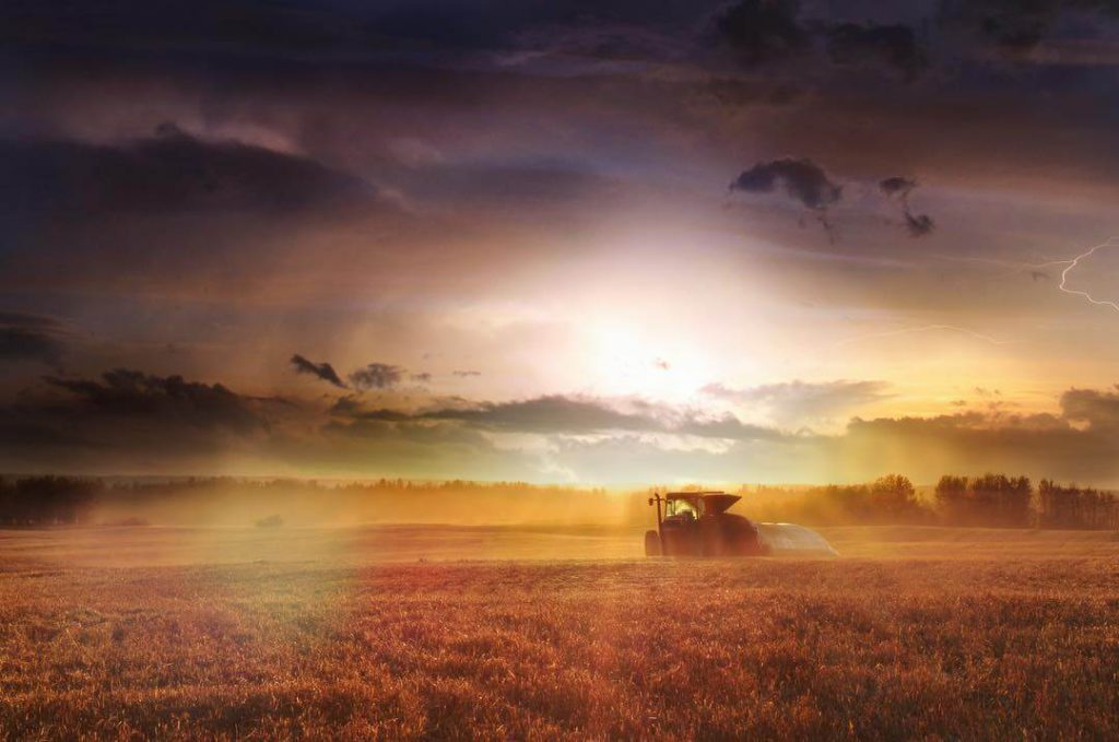 creaghhdarcgoud2 Camrose Regional Exhibition CRE Agriculture Photo Contest Winner Darcie Goudreau