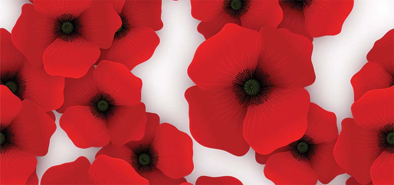 Remembrance Day